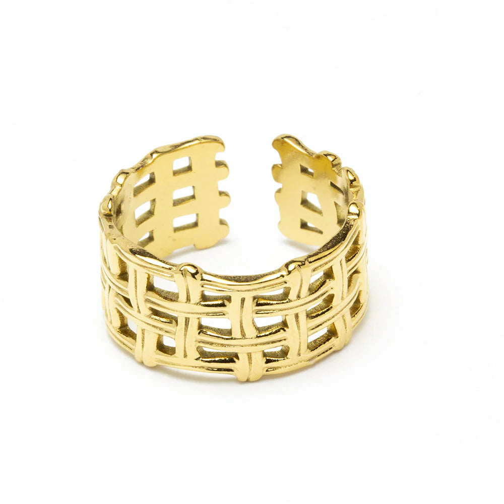 Dinami Adjustable Ring