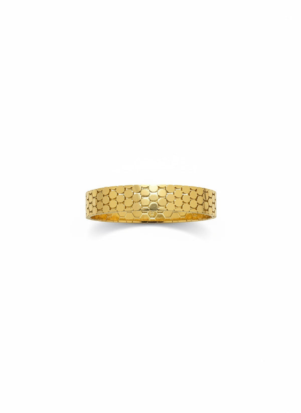 Turtle Bangle